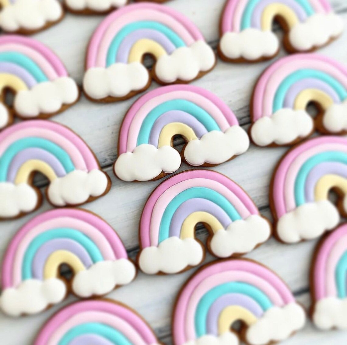 12pcs 1 Dozen Decorated Sugar Cookies Rainbow Cookies Etsy