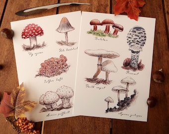 A5 print or Set - Mushrooms page