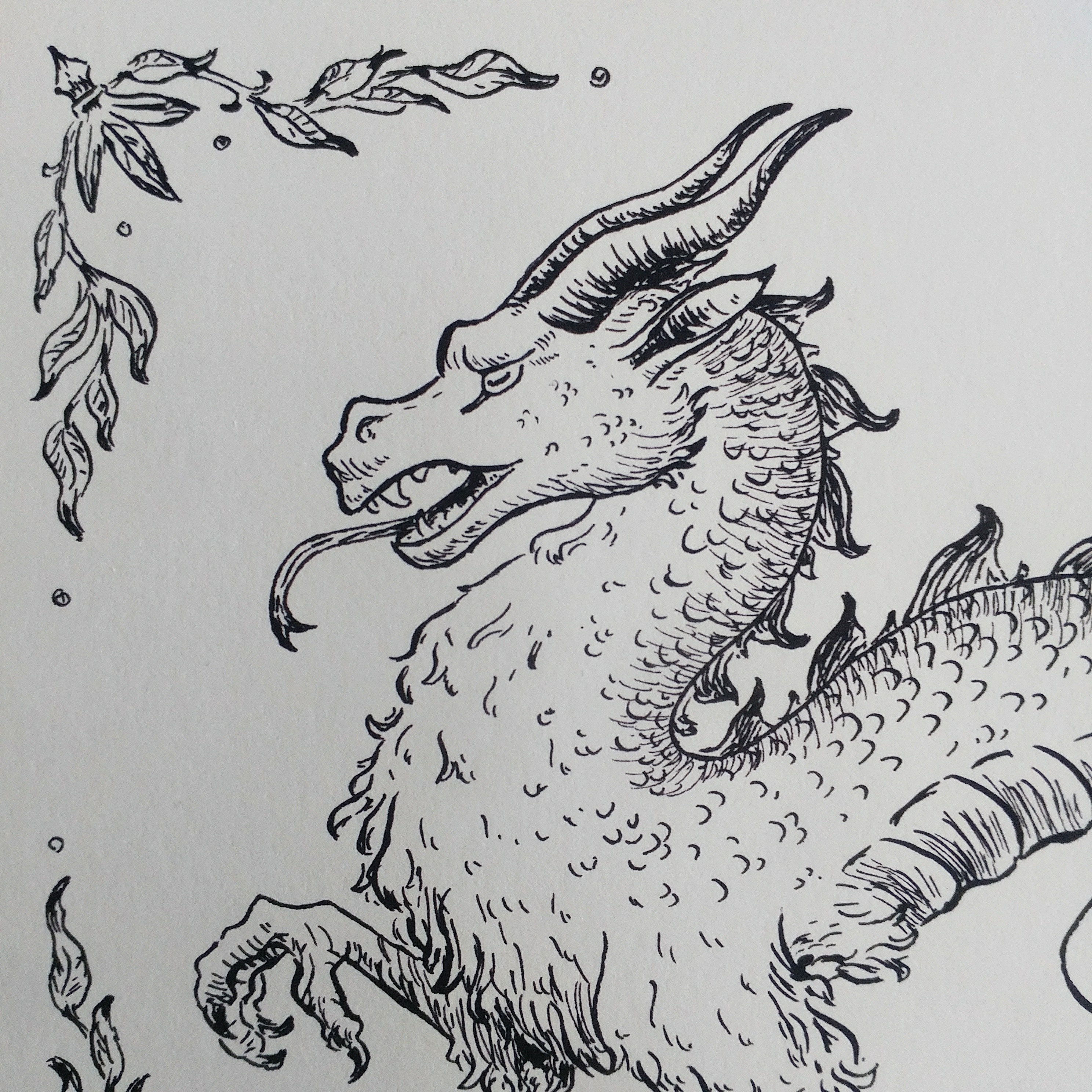 Print - Dragon Ink Illustration - Etsy