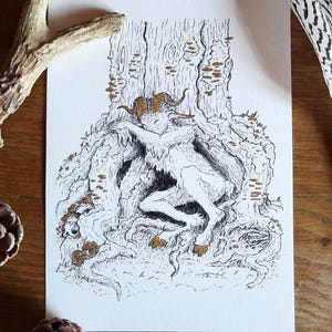 Druck - Schläfriger Faun