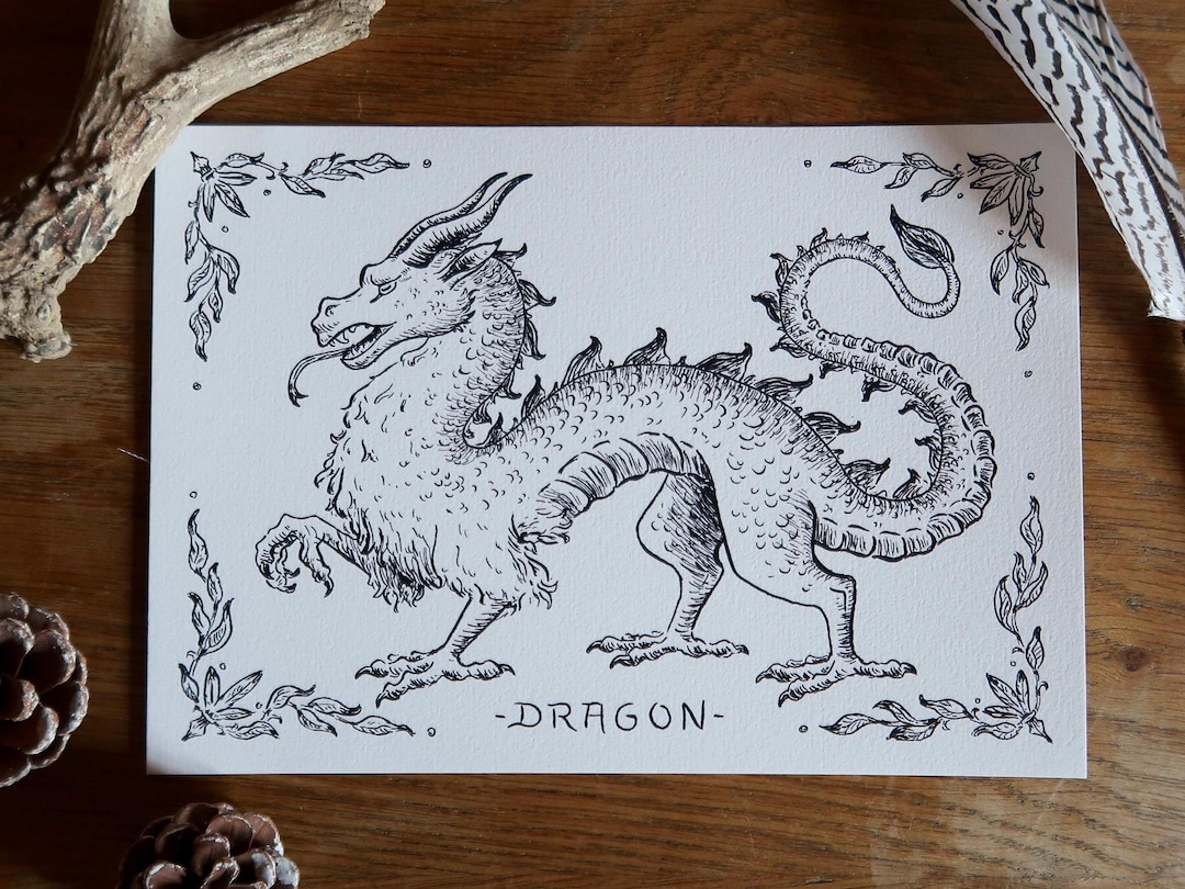 Print - Dragon Ink Illustration - Etsy