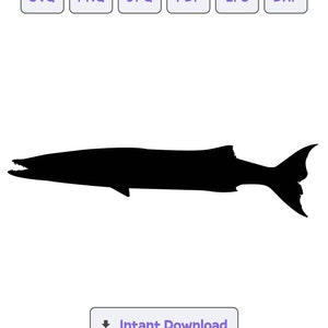 Könnte beinhalten: Schwarze Silhouette eines Barracudas mit einem langen, schlanken Körper und einer spitzen Schnauze.