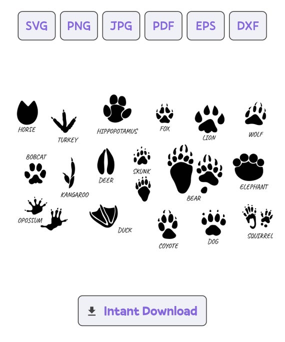 Silhouettes Of Tracks Animals