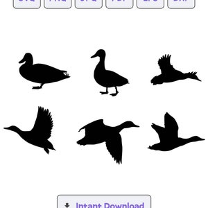 Duck Silhouette SVG, svg, Duck dxf, eps, Duck Cricut, Duck Clipart, Duck Silhouette Cut File, Instant Download