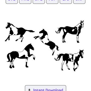 Amerikanisches Paint Pferd Silhouette SVG, svg, dxf, eps, Amerikanisches Paint Pferd Cricut, Clipart, Silhouette Schnittdatei, Sofort Download