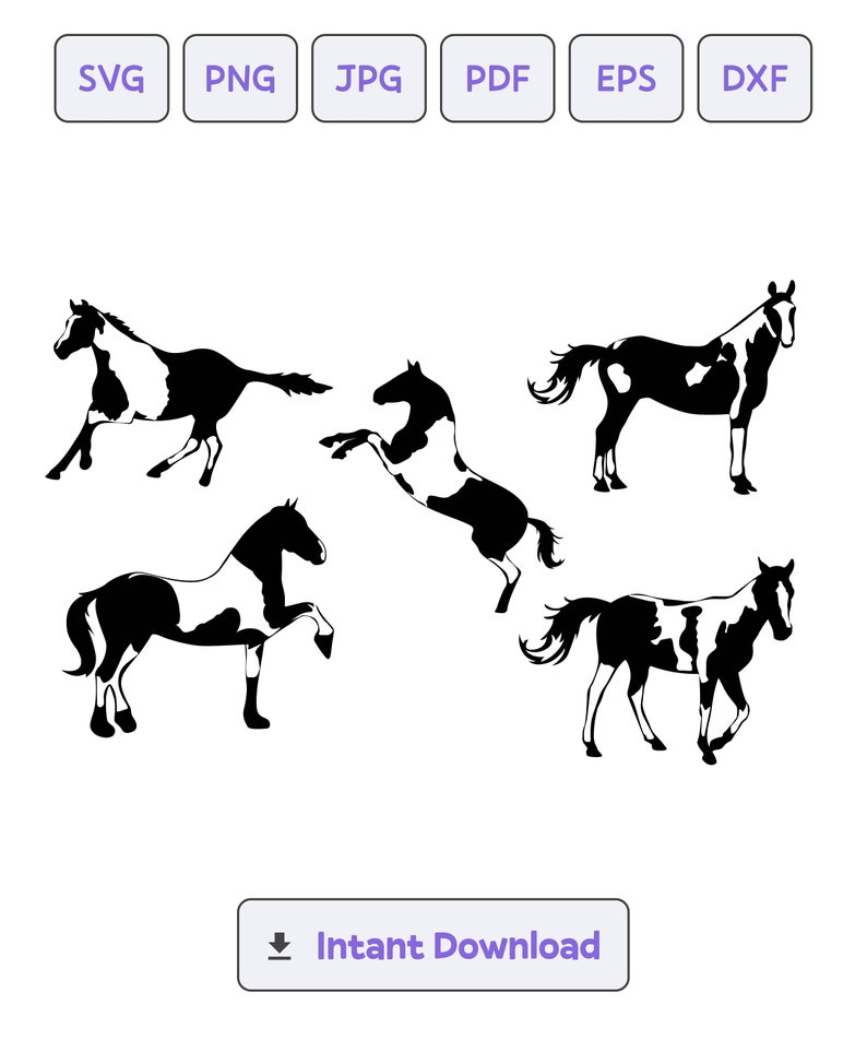 American Paint Horse Silhouette SVG, Svg, Dxf, Eps, American Paint