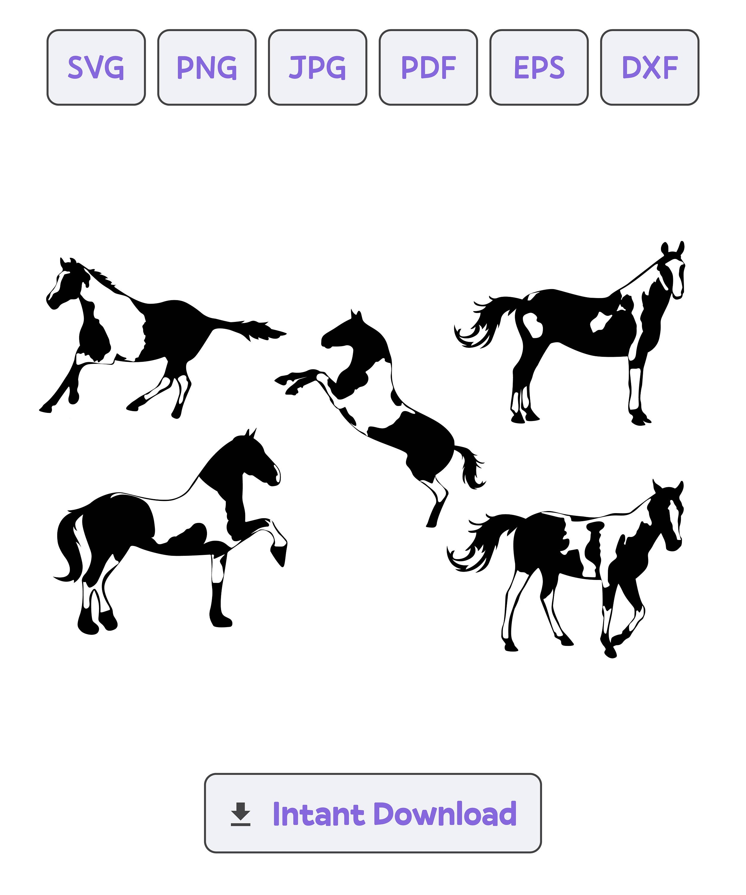 American Paint Horse Silhouette SVG, Svg, Dxf, Eps, American Paint