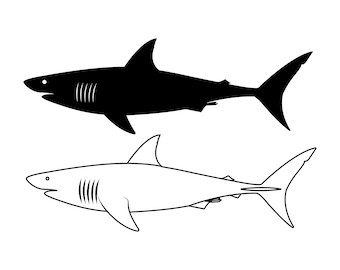 Archivo de corte de silueta de tiburón blanco, SVG, PNG, JPG (descarga instantánea)