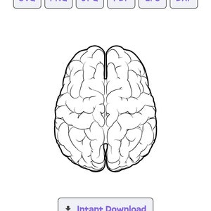 May include: A black and white line drawing of the human brain, viewed from above. The brain is divided into two hemispheres, with the left and right sides clearly visible.