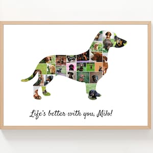 Pode incluir: Impressão emoldurada com uma silhueta de dachshund composta por várias fotos de cães. A impressão tem uma moldura de madeira clara e o texto "Life's better with you, Milo!" em itálico, ideal para amantes de cães.