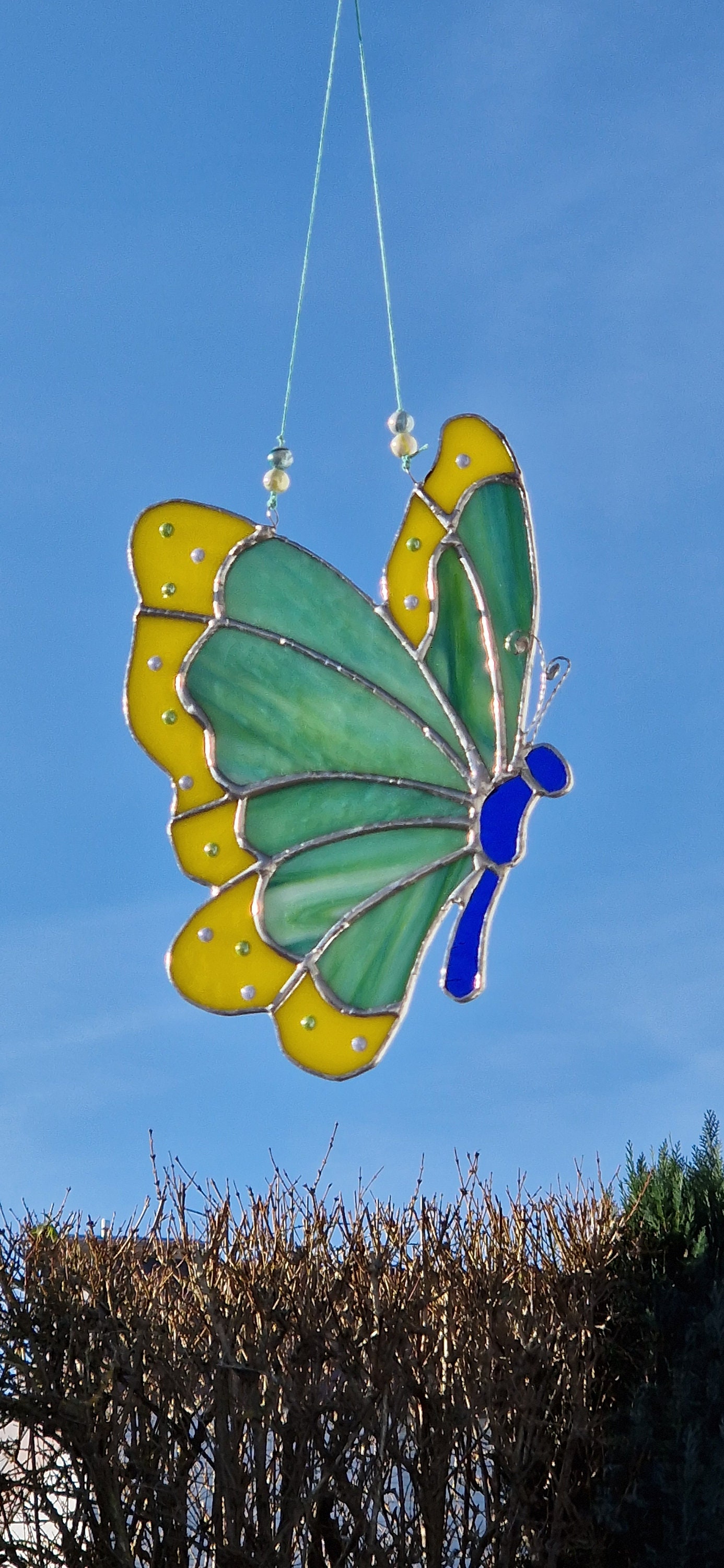 Fensterdeko schmetterling - .de