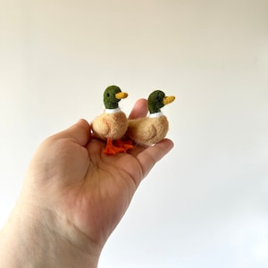 K&ouml;nnte beinhalten: Zwei kleine Filz-Stockenten mit gr&uuml;nen K&ouml;pfen und orangefarbenen F&uuml;&szlig;en. Die Enten stehen auf der Hand einer Person.