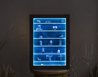 Vitrine LED, présentoir LED, boîte de présentation LED, vitrine en bois, présentoirs pour miniatures, vitrine en bois pour mur