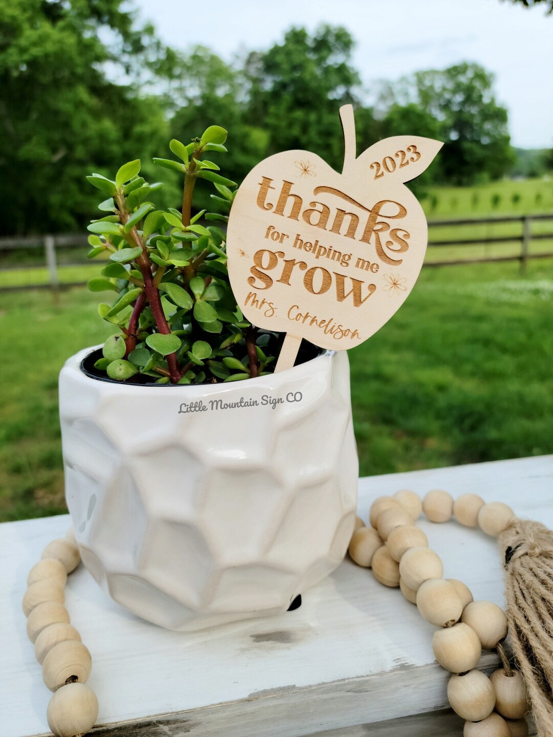 Thanks for Helping Me Grow Plant Stake, Teacher Gift, Apple Shape