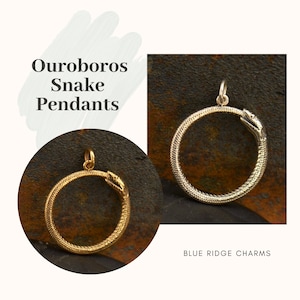 Pendentifs serpent Ouroboros, breloque serpent, breloque pour animal de compagnie, breloques animaliers, breloque serpent en argent sterling