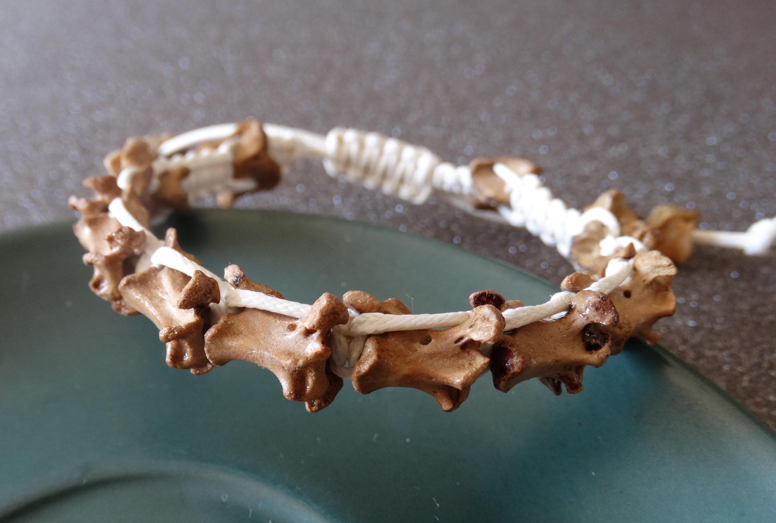 Bracelet of Animal Bone - Etsy