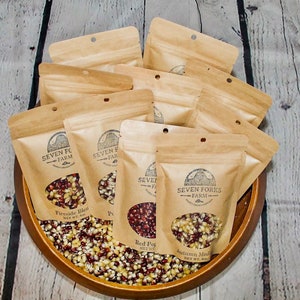 10 bolsas de 4 oz de palomitas de maíz que USTED ESCOJA, regalo de fiesta