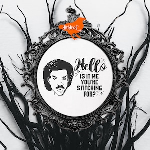 Lionel Richie Hello Funny Cross Stitch Pattern, Music Quote, Song Lyrics, Meme Cross Stitch, Counted Cross Stitch, Black and White, Beginner
