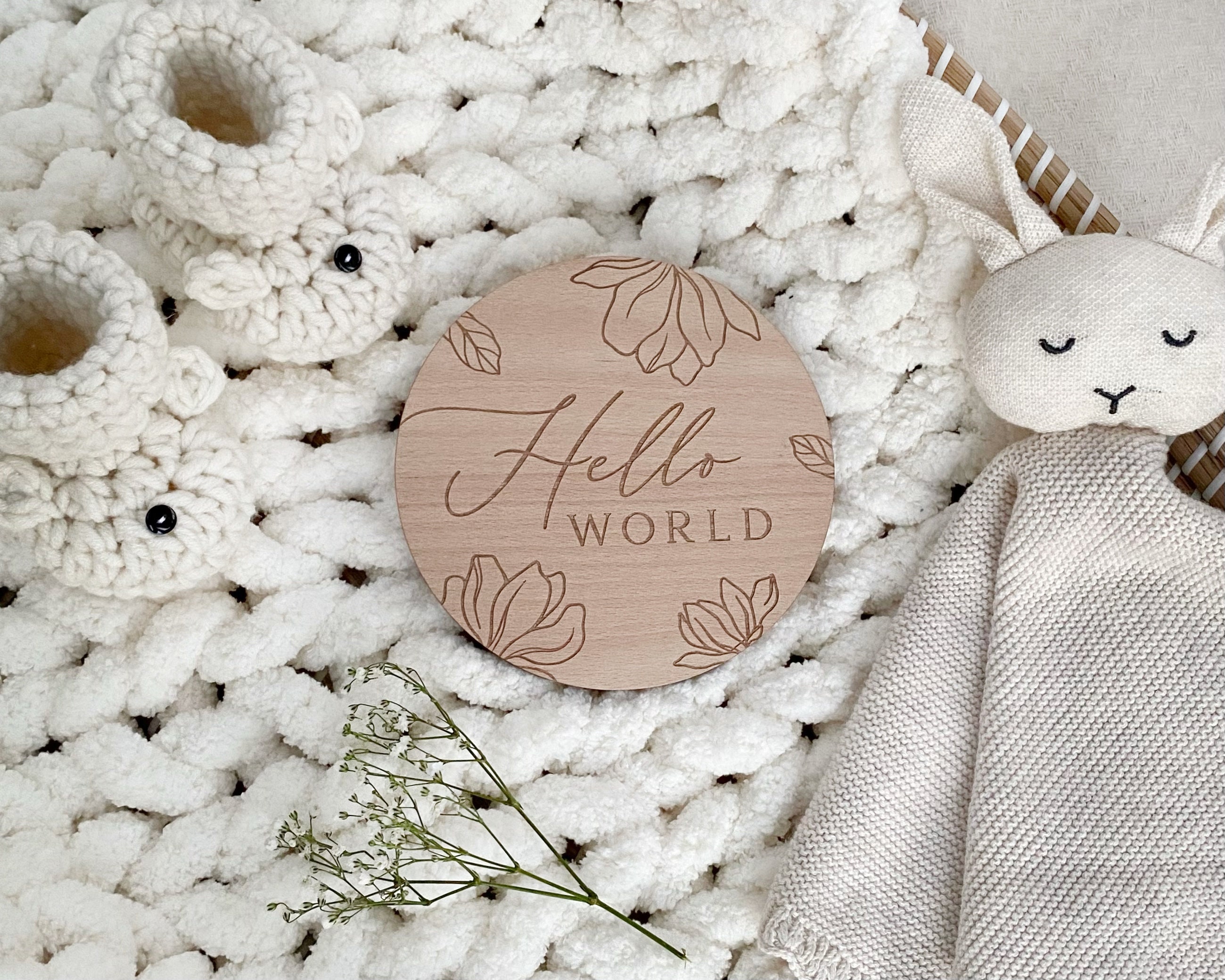 Baby Milestone Disc Set | Hello World Milestone Cards | Newborn Gift ...