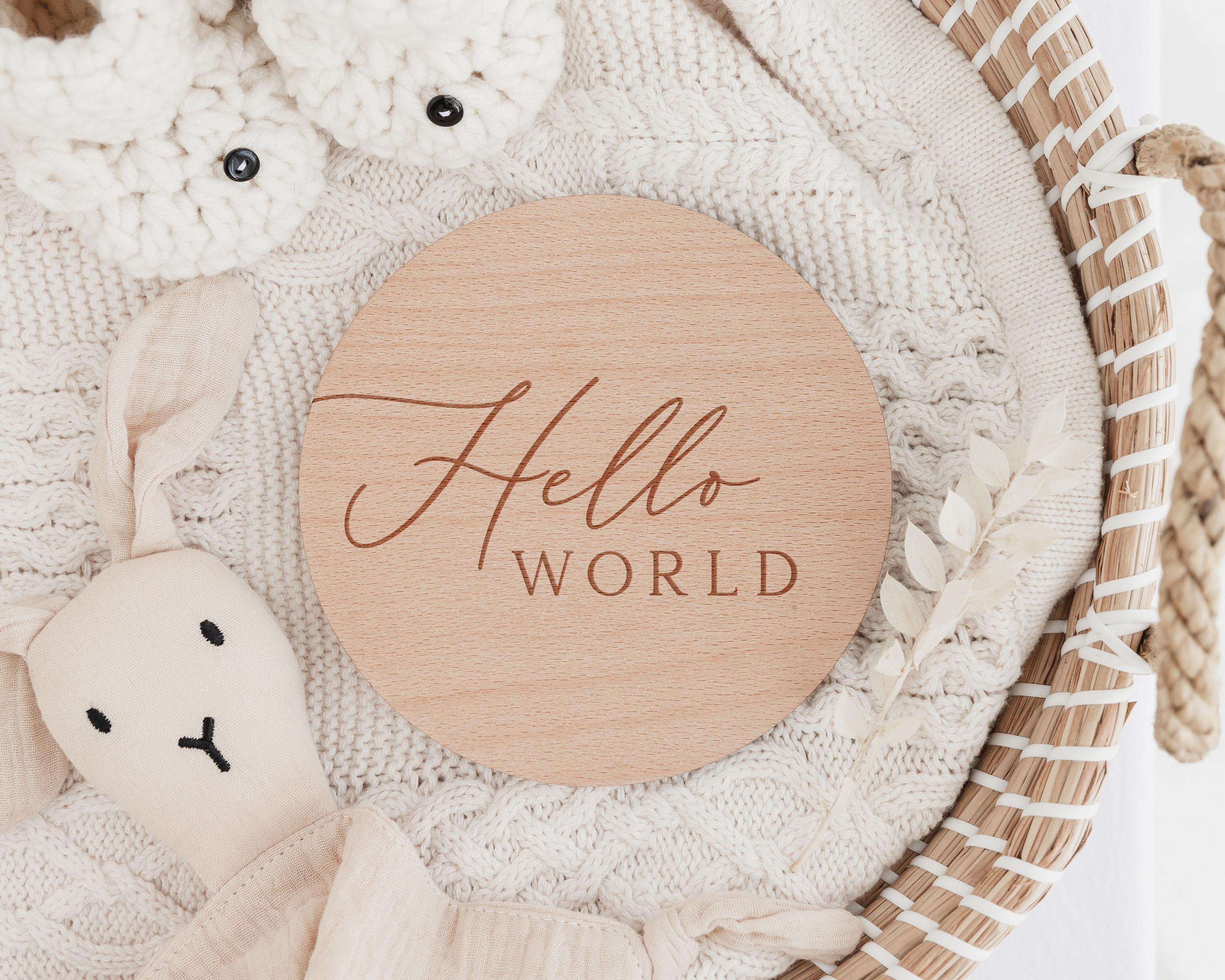Baby Milestone Disc Set | Hello World Milestone Cards | Newborn Gift ...