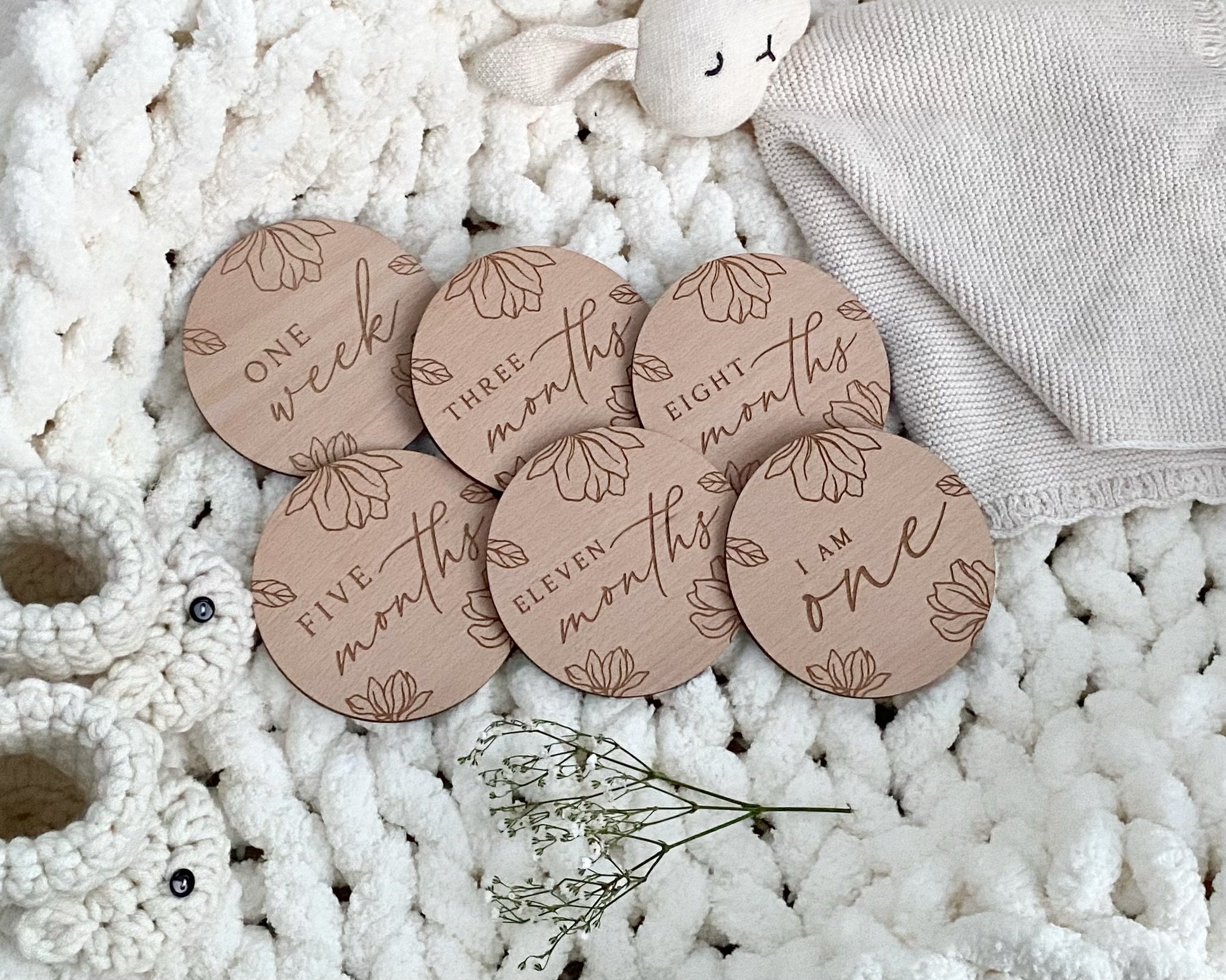 Baby Milestone Disc Set | Hello World Milestone Cards | Newborn Gift ...