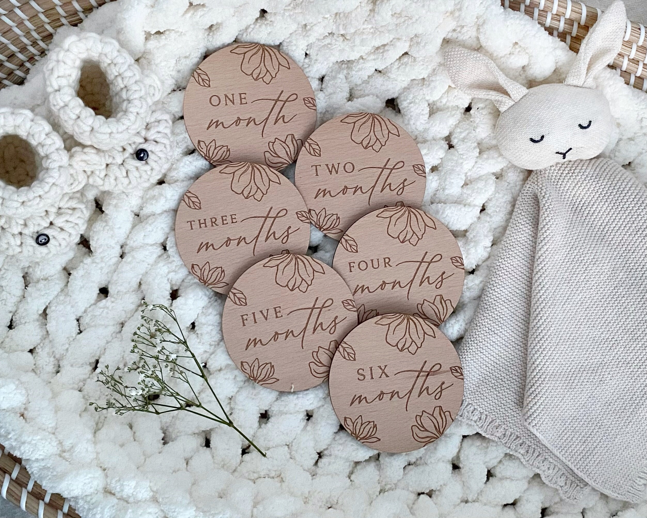 Baby Milestone Disc Set | Hello World Milestone Cards | Newborn Gift ...