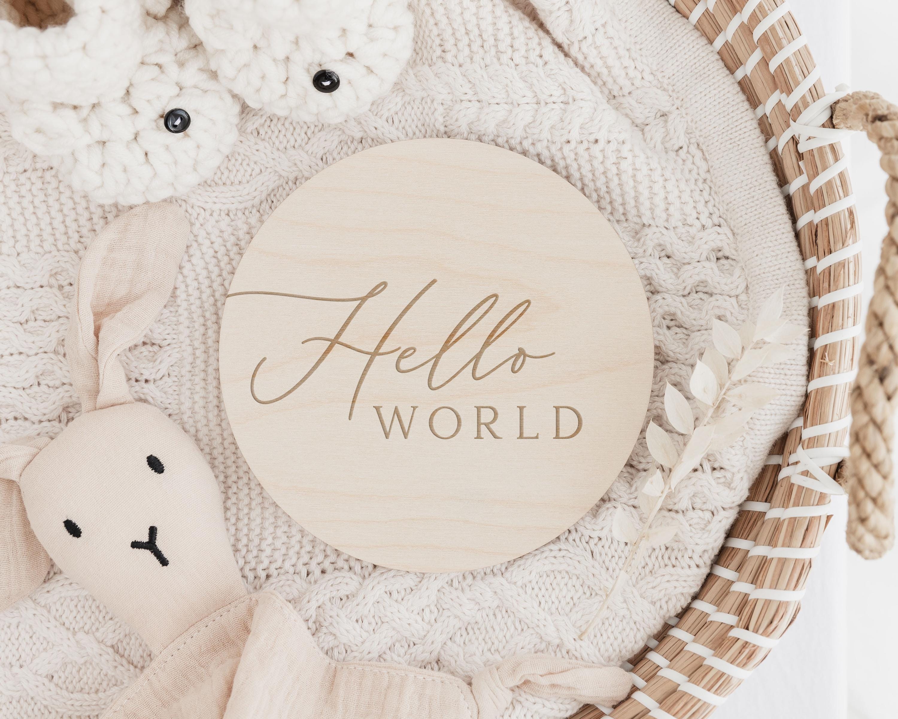Baby Milestone Disc Set | Hello World Milestone Cards | Newborn Gift ...
