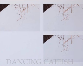 Picture edited by Japanese Artist, DancingCatfish in New York