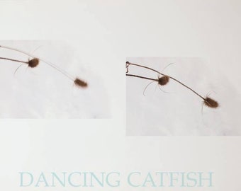 Picture edited by Japanese Artist, DancingCatfish in New York