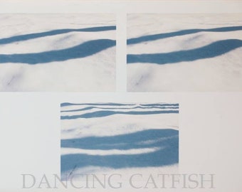 Picture edited by Japanese Artist, DancingCatfish in New York