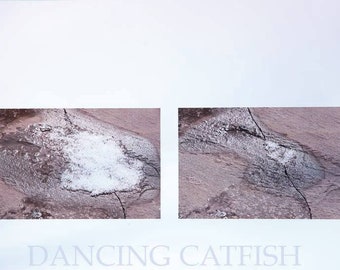 Picture edited by Japanese Artist, DancingCatfish in New York