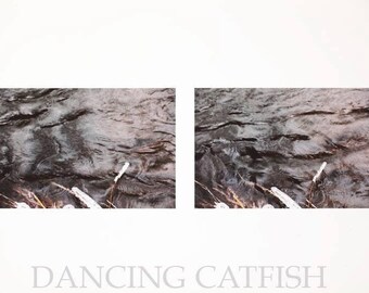 Picture edited by Japanese Artist, DancingCatfish in New York