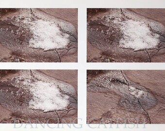 Picture edited by Japanese Artist, DancingCatfish in New York