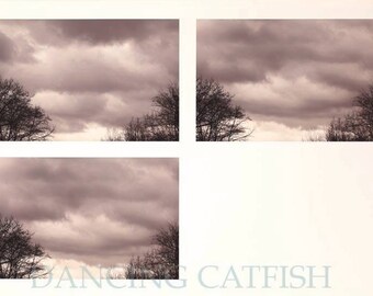 Picture edited by Japanese Artist, DancingCatfish in New York