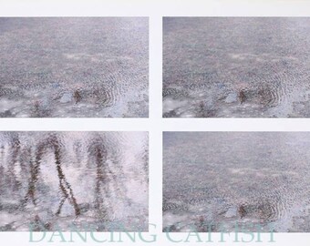 Picture edited by Japanese Artist, DancingCatfish in New York