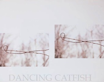 Picture edited by Japanese Artist, DancingCatfish in New York