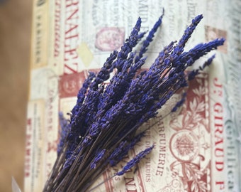 Scented Dried Lavender Bunch: Preserved Real Lavender Bouquet