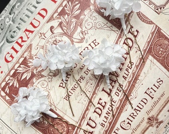 Getrocknete Blumen-Haarnadeln Hochzeit, Hochzeit Blumen-Haar-Accessoires Einfache minimalistische Blumen-Braut-Kopfbedeckung Weiße Elfenbein-Hortensien-Haarauswahl UK