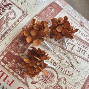 Terracotta Burnt Orange Flower Hair Pins, Rustic Wedding Preserved Hydrangea Mini Floral Pin Set, Boho Bridal Floral Hair Pins