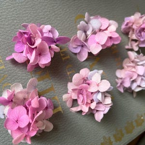 Blush Pink Preserved Hydrangea Hair Pins: Romantic Bridal Hair Accessories