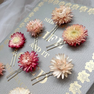 Dried Flower Hair Pins, Bridal Pink Floral Hair Pins, Blush Pink Hair Accessories, Minimal Flower Hair Pin Set, Wedding Hair Pins image 1