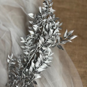 Preserved Dried Italian Ruscus Silver Leaves, Silver Leaf Decoration