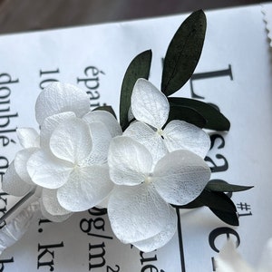 Puede incluir: Un delicado prendedor con p&eacute;talos de hortensia blancos con venas visibles y hojas de color verde oscuro. El arreglo floral est&aacute; sujeto a un tallo de pl&aacute;stico transparente y descansa sobre una superficie de papel blanco con texto impreso en negro.