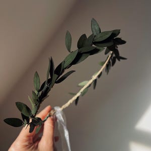 Dried Eucalyptus Wedding Crown for Brides, Woodland Greenery Headband, Everlasting Olive Leaves Hair Piece, Woodland Minimalist Headband