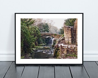 Jesmond Dene Waterfall and bridge Print, Newcastle Upon Tyne.