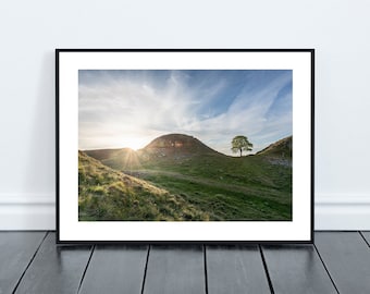 Sycamore Gap Tree on Hadrian's Wall in Northumberland Print