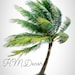 h.m decor
