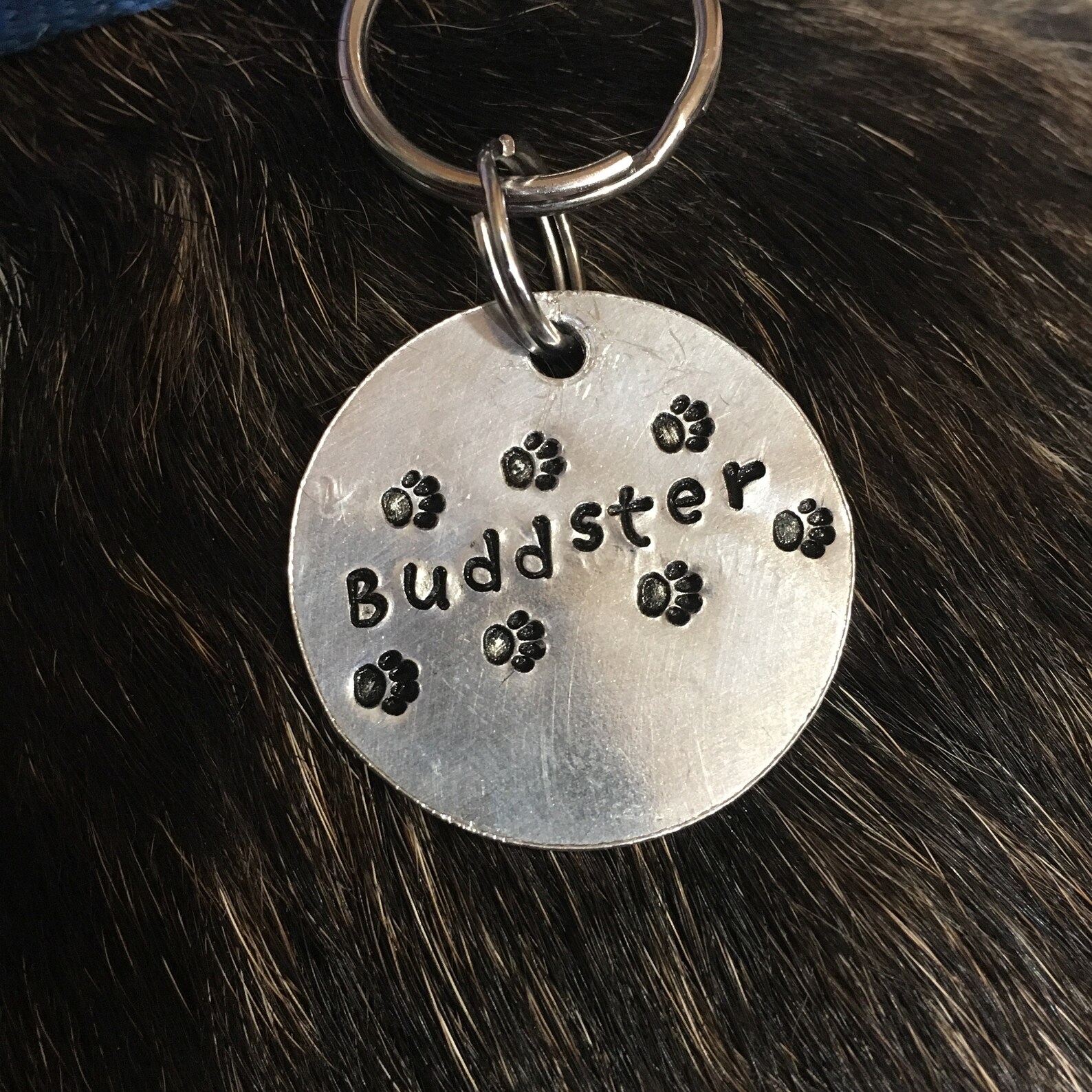 Dog Name Tags Pet ID Tags Dog Dad Gifts Custom Dog ID Etsy
