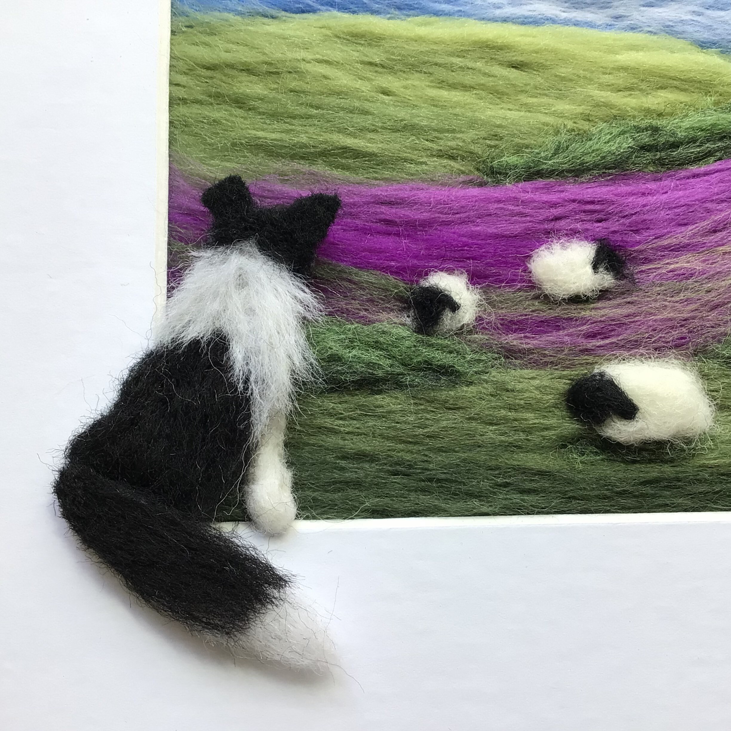 Needle Felting Border Collie Picture Kit Etsy UK