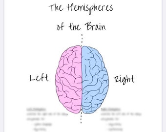 Neuro A&P Study Guide (DIGITAL)